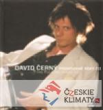 David Černý - Promrdané roky III, The Fucking Years III - książka