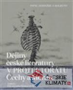 Dějiny české literatury v protektorátu Čechy a Morava - książka