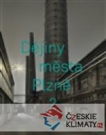 Dějiny města Plzně 2 - książka