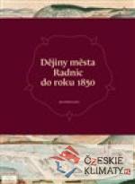 Dějiny města Radnic do roku 1850 - książka