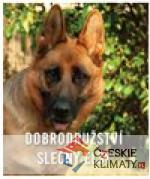 Dobrodružství slečny Elsy - książka