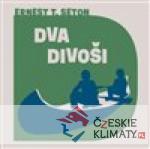 Dva divoši - książka