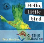 Hellou, Little Bird - książka