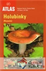 Holubinky - książka