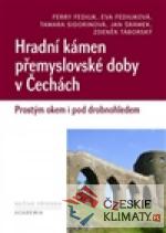 Hradní kámen přemyslovské doby v Čechách - książka