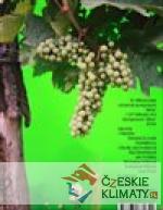 Identita / Identity - książka