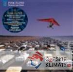 A Momentary Lapse Of Reason