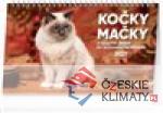 Stolní kalendář Kočky – Mačky CZ/SK 2021...