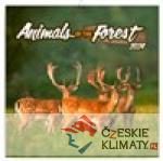 Poznámkový kalendář Zvířátka z lesa 2024...