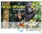 Nástěnný kalendář Živá Afrika 202...