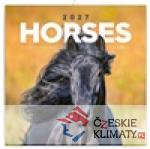 Poznámkový kalendář Koně - Christia...