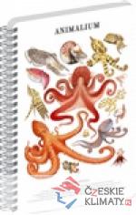 Spirálový blok Animalium - Hlavonožci...