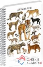 Spirálový blok Animalium - Kočkovité...