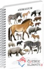 Spirálový blok Animalium - Lichokopytn...