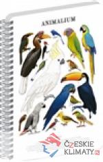 Spirálový blok Animalium - Ptáci, či...