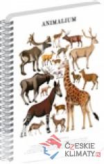 Spirálový blok Animalium - Sudokopytn...