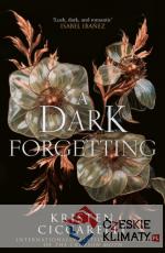 Dark Forgetting