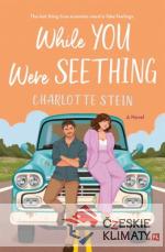 While You Were Seething