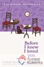 Before I Knew I Loved You