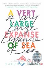 A Very large Expanse of Sea