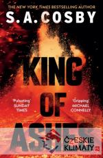 King of Ashes