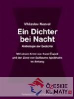 Ein Dichter bei Nacht