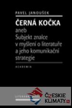 Černá kočka
