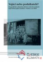 Vojáci, nebo podnikatelé?