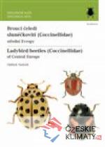 Brouci čeledi slunéčkovití