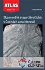 Zkamenělé stopy živočichů v Čechá...