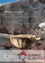 What’s wrong?