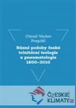 Různé podoby české trinitární teologie a...