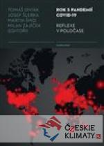 Rok s pandemií covid-19 Reflexe v polo...