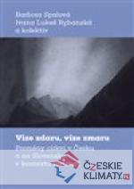 Vize zdaru, vize zmaru