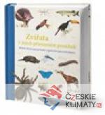 Zvířata v jejich přirozeném prostře...