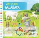 Jak to žije - mláďata