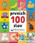 Prvních 100 slov