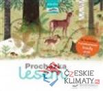 Procházka lesem - následuj cestu