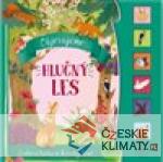 Objevujeme - Hlučný les
