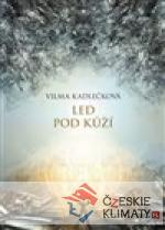 Mycelium II:  Led pod kůží