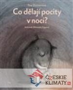 Co dělají pocity v noci?