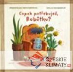 Copak potřebuješ, Robůtku?