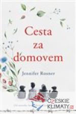 Cesta za domovem