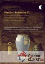 Břeclav - Pohansko XI.
