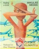 Mikuláš Medek - Nahý v trní