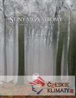 Stíny mezi stromy