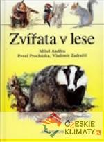 Zvířata v lese