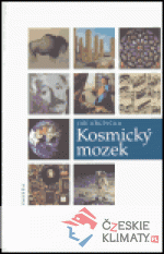 Kosmický mozek