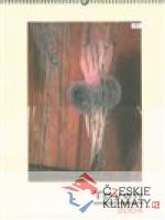 Kalendář Toyen 2004