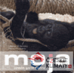 Moja - příběh gorilí slečny